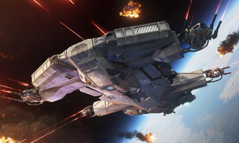 Hammerhead Best In Show Edition